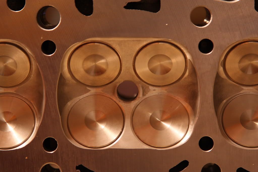 DPP_0017.jpg