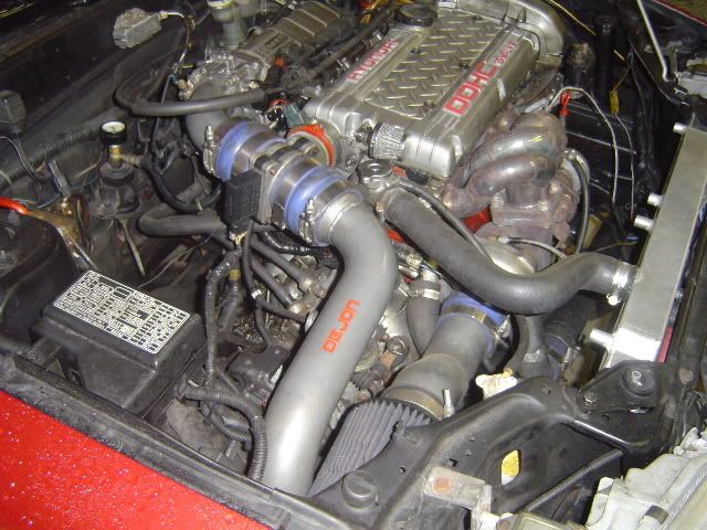 DSC01201.jpg