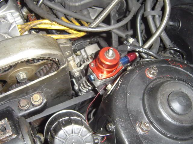 DSC01202.jpg