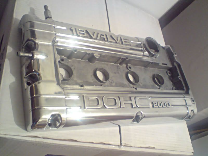 DSC01813.jpg