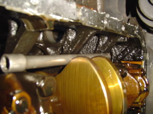 DSC02685.jpg