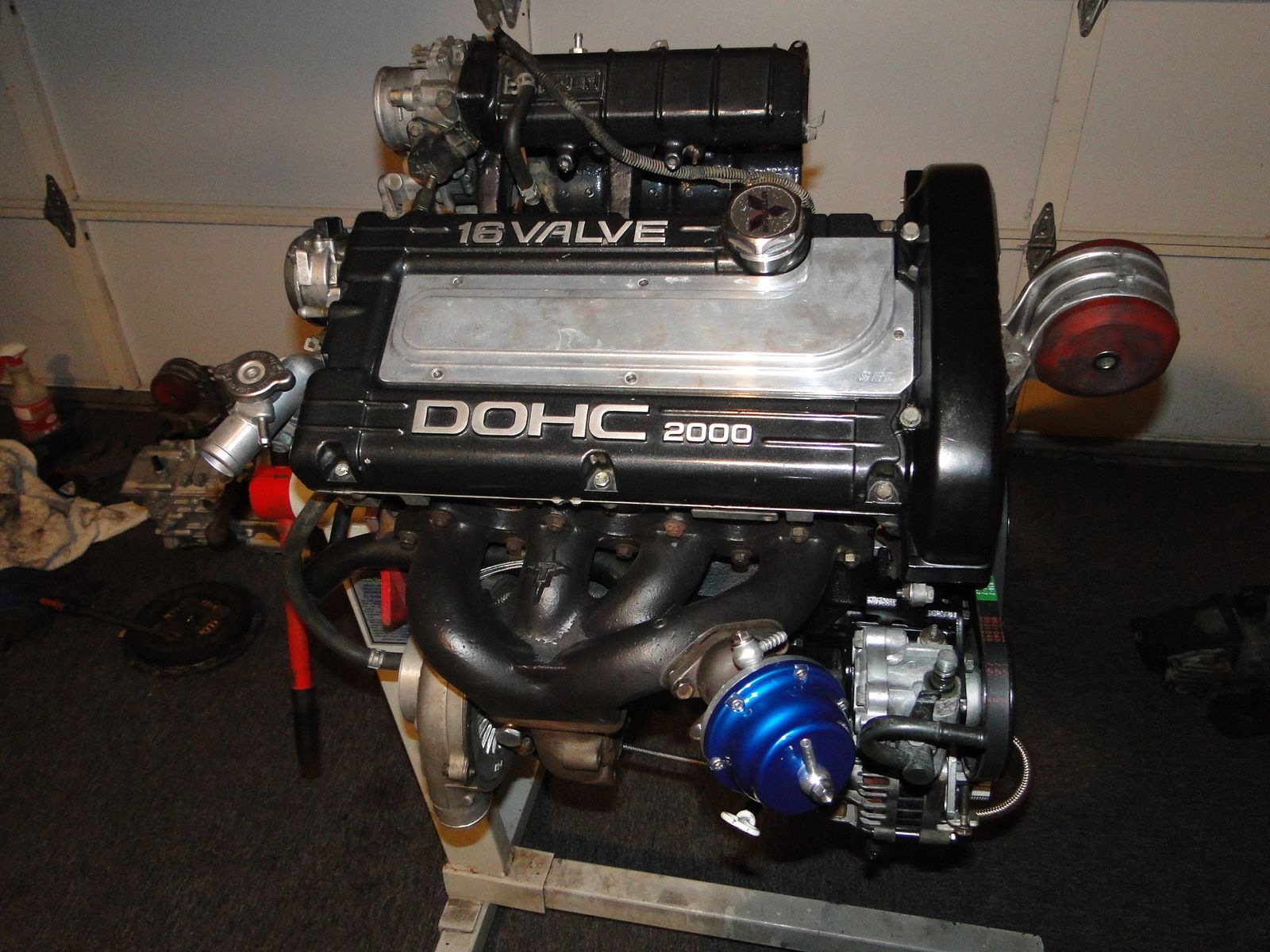 dsc03383y.jpg