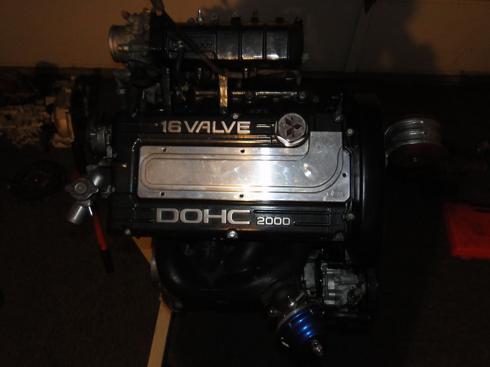 dsc03388y.jpg
