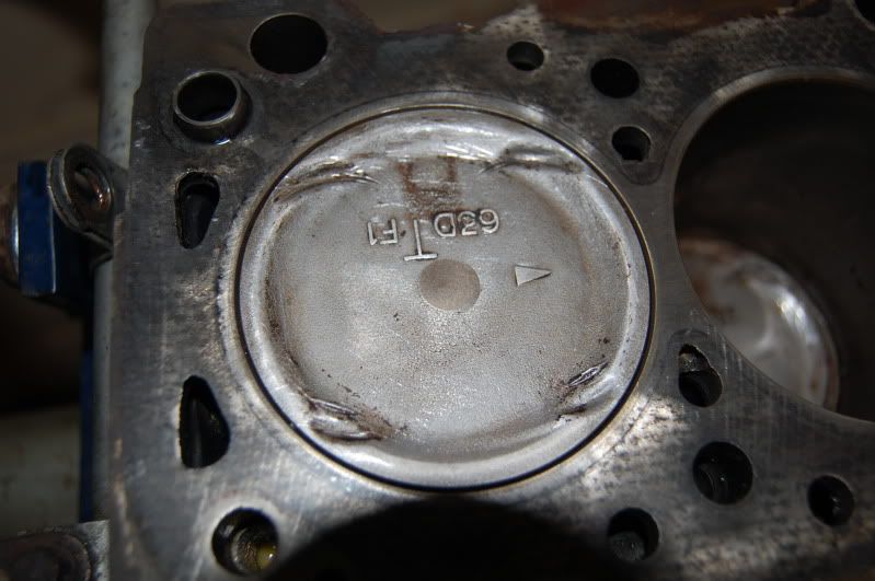 DSC_0093.jpg