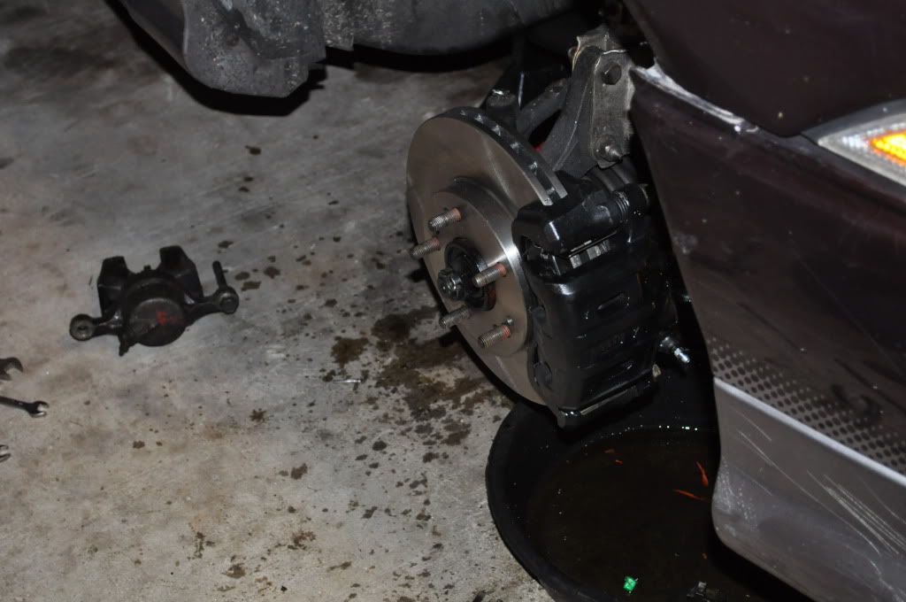 DSC_0544.jpg