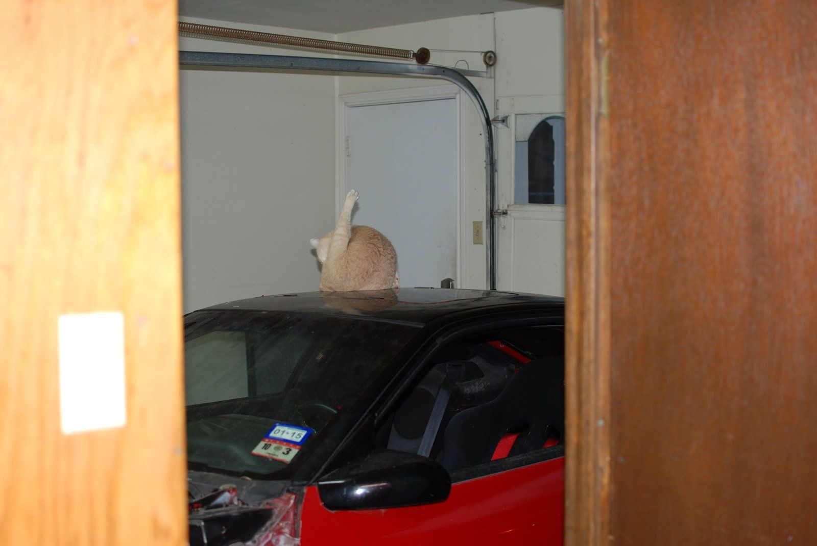 DSC_0546.JPG