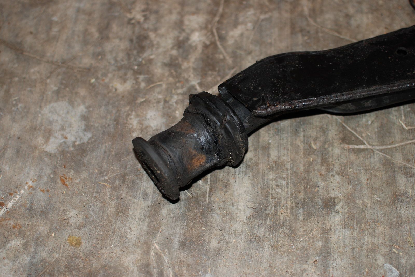 DSC_0558.JPG