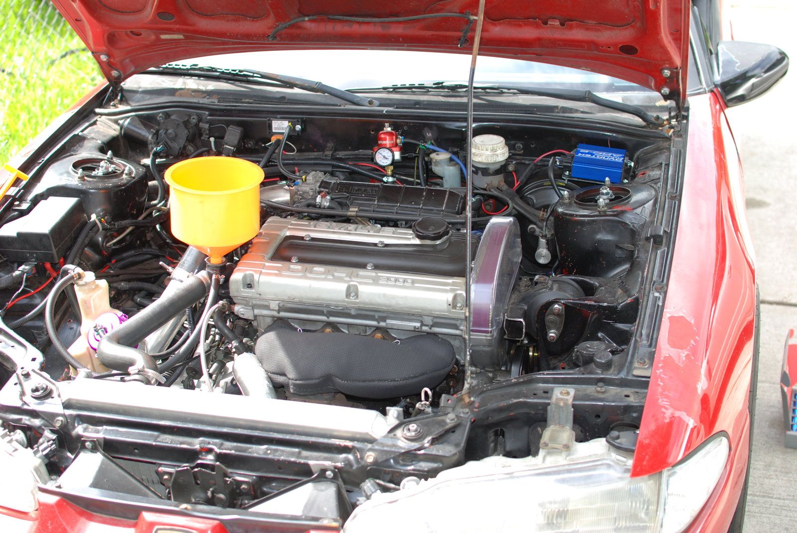 DSC_0907.JPG