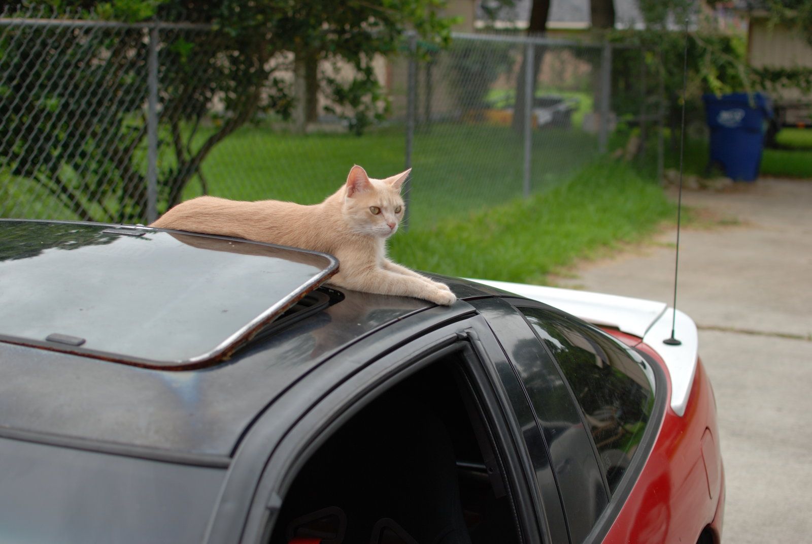 DSC_0913.JPG