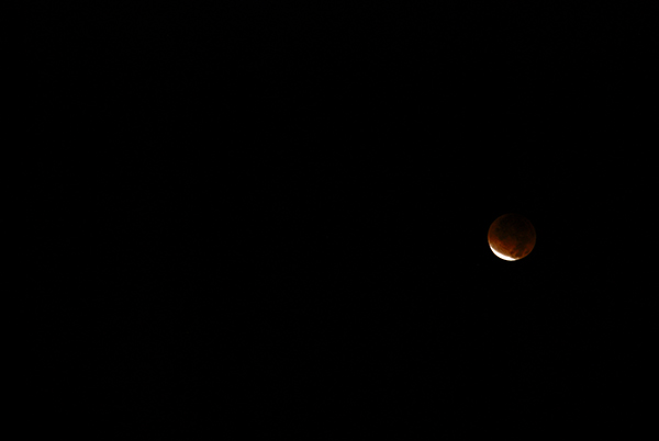 DSC_0942.jpg