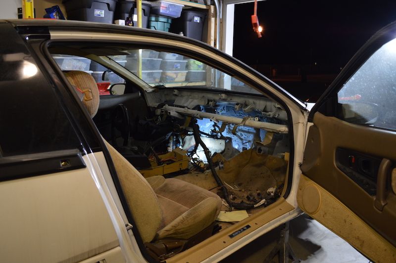 DSC_5412.JPG