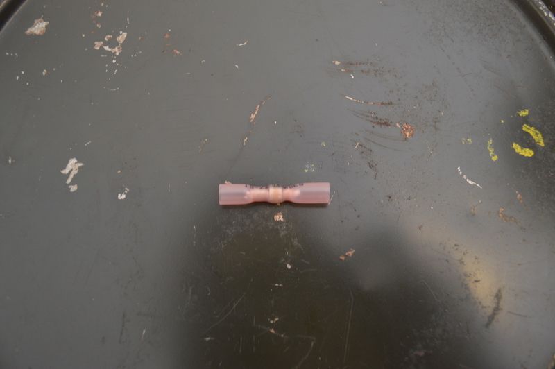 DSC_5503.JPG