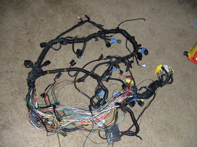 DSCF1420.jpg