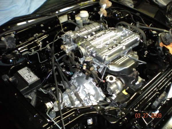DSCN0158.jpg