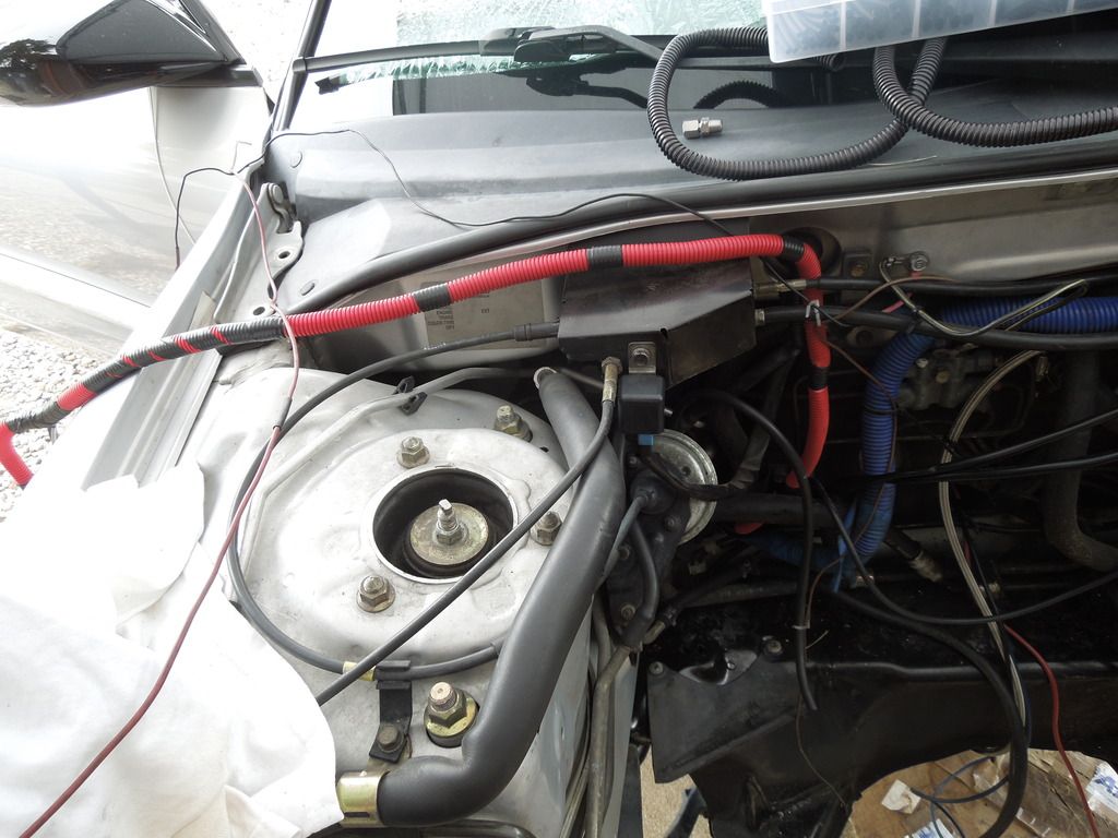 DSCN0961.jpg