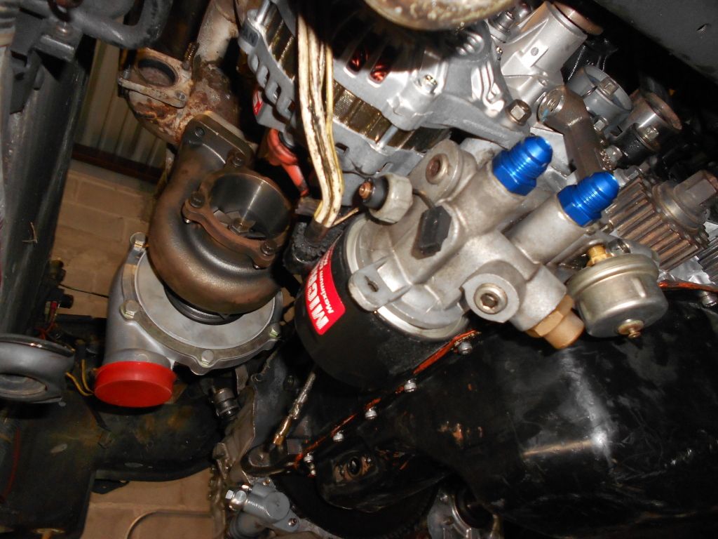 DSCN1520.jpg