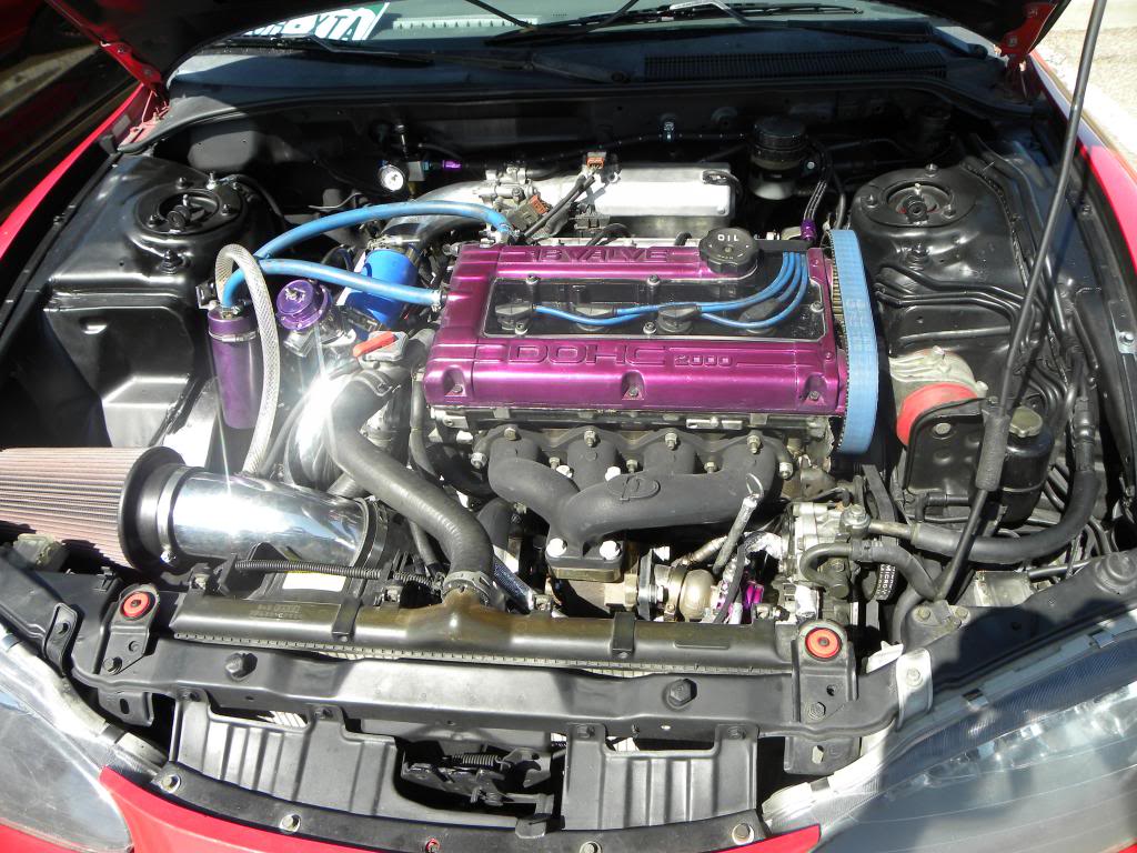 DSCN9113_zps5716025c.jpg