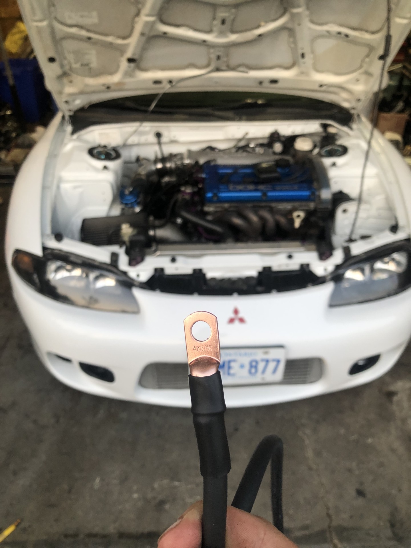 e2.jpg