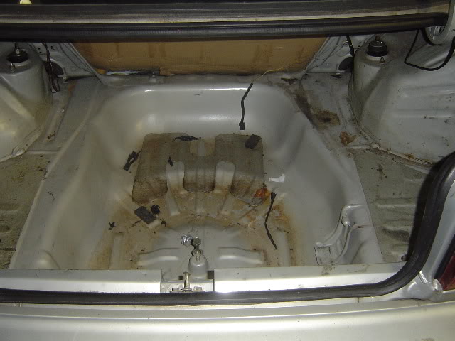 evo103.jpg
