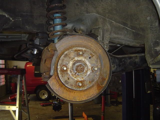 evo113.jpg