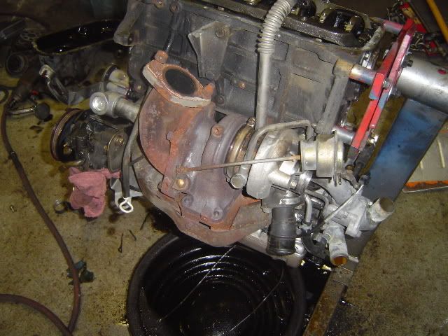 evo118.jpg