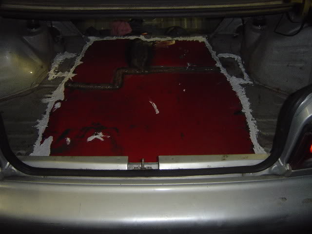 evo124.jpg