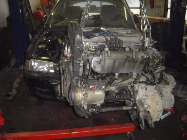 evo128.jpg
