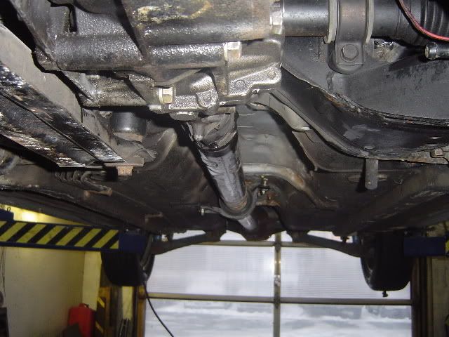 evo136.jpg