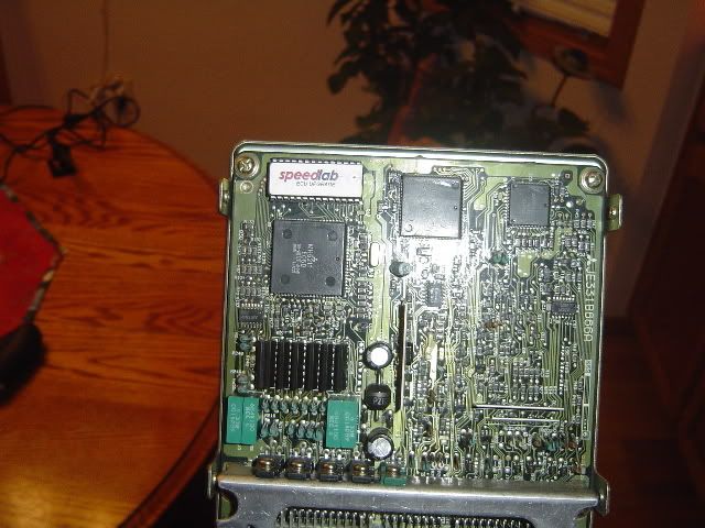 evo79.jpg