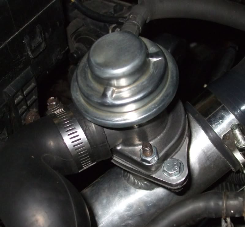 evo9bov-jpg.258521.jpg