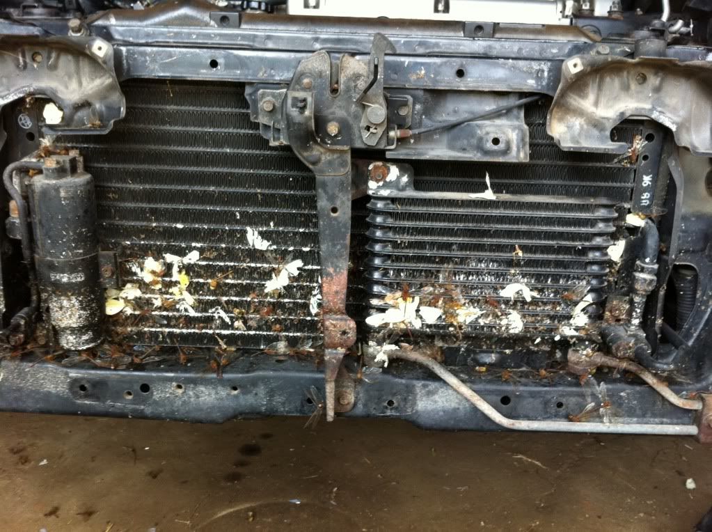 FMICinstall4-1.jpg
