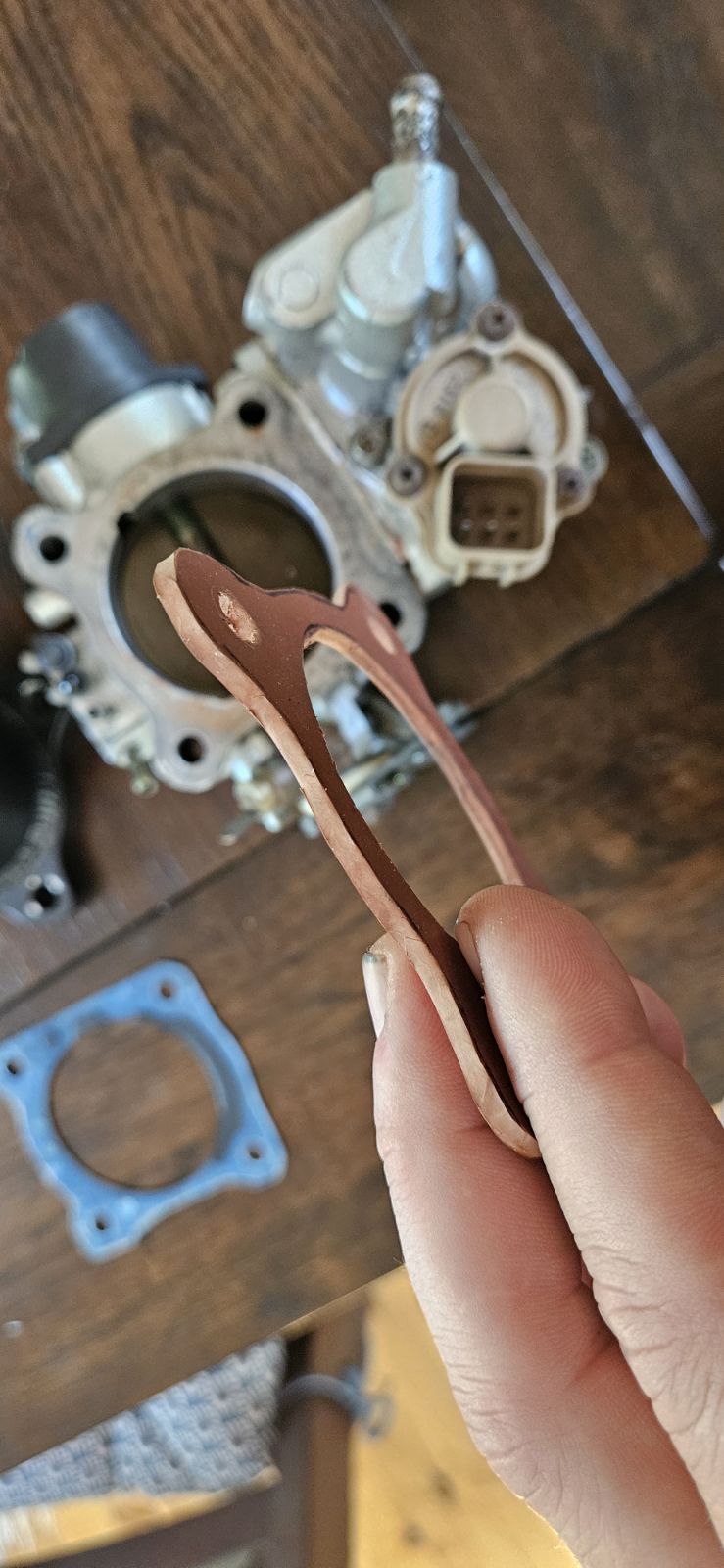 gasket.jpg