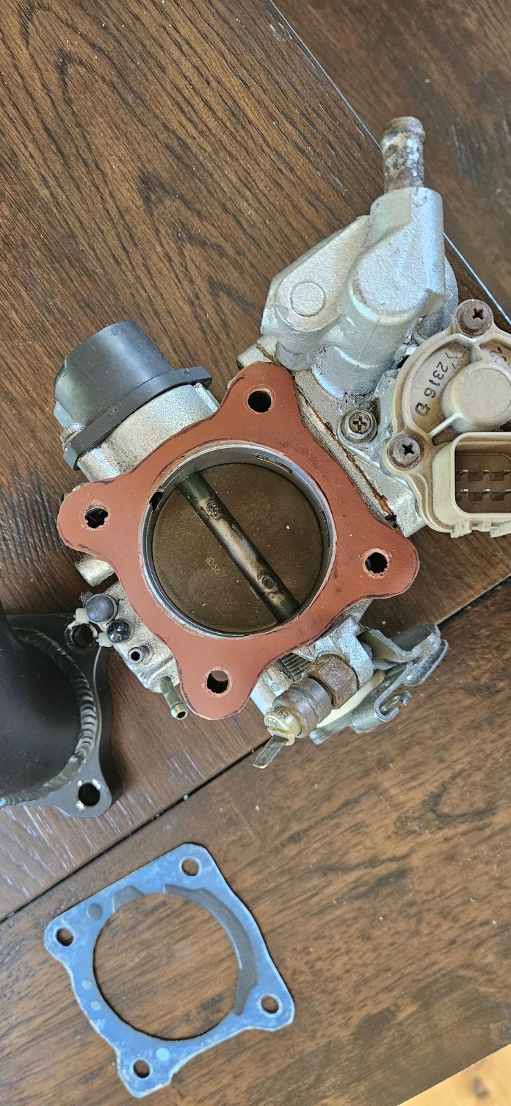 gasket2.jpg