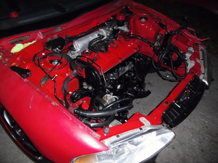 GEDC0308.jpg