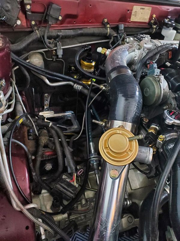 goldenginebay.jpg