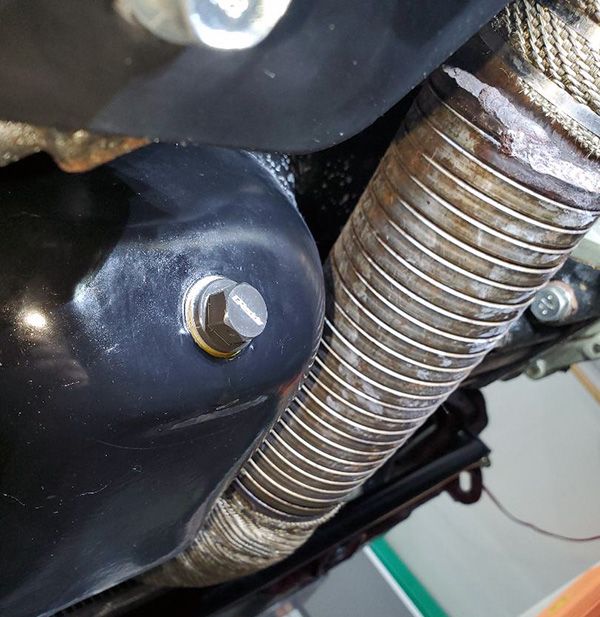 greddydrainplug.jpg