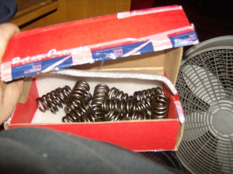 HPIM0975.jpg