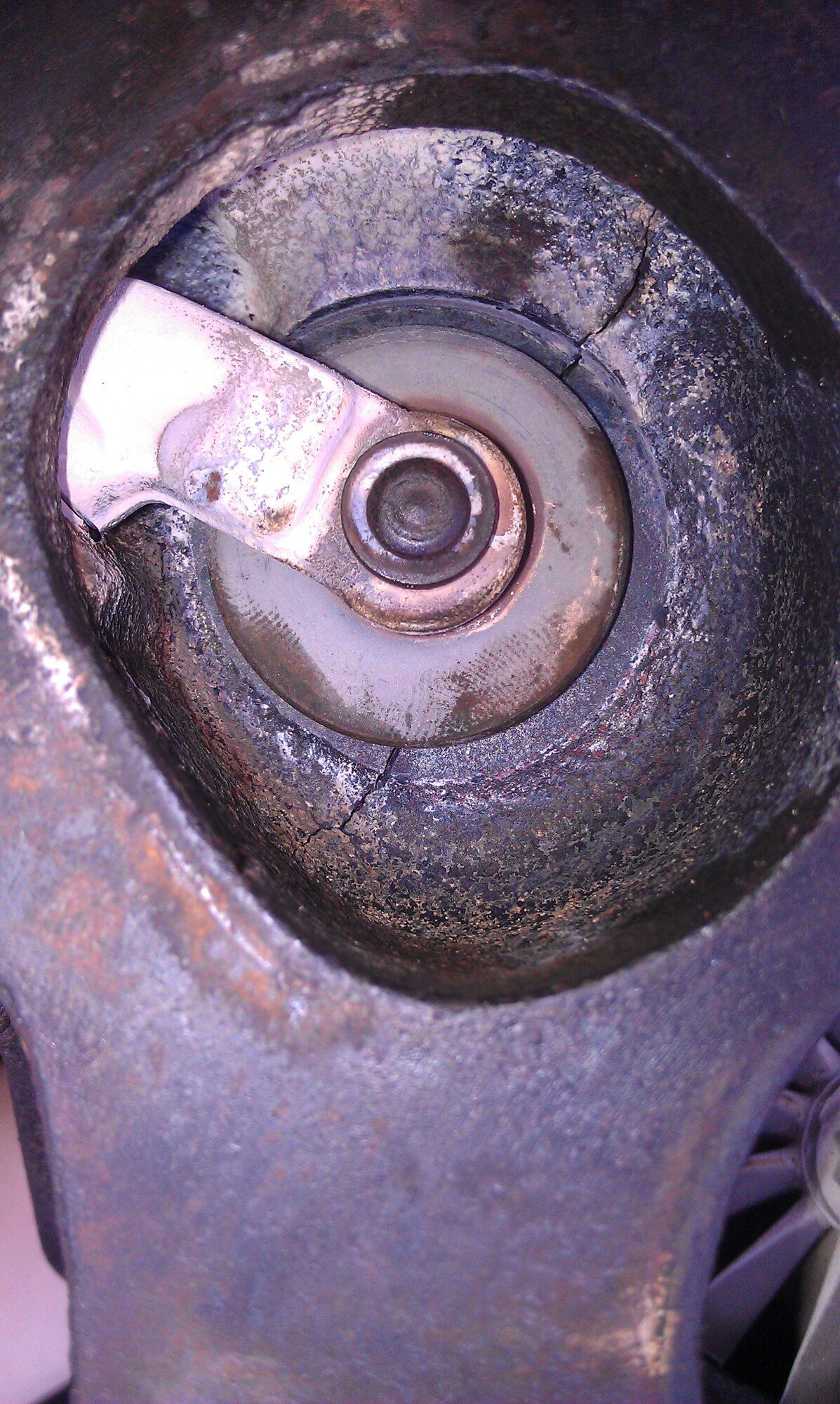 IMAG0117.jpg