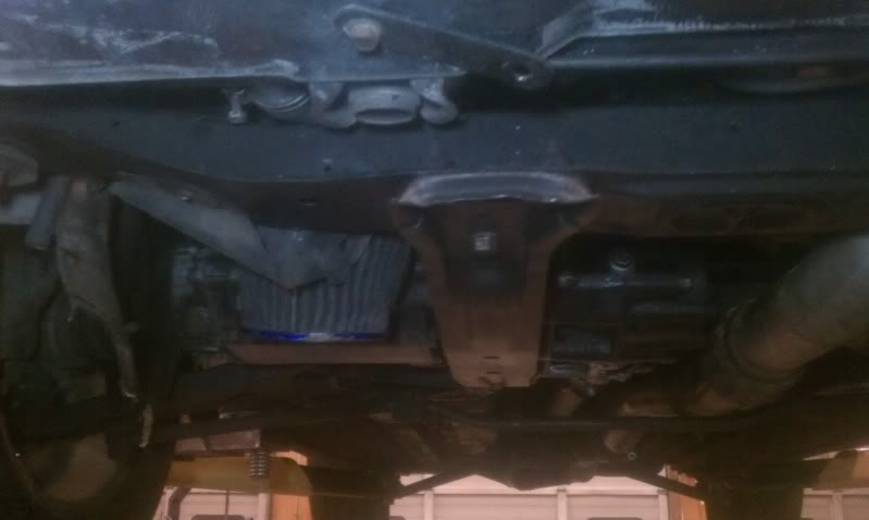 IMAG0185_zps4935753a.jpg