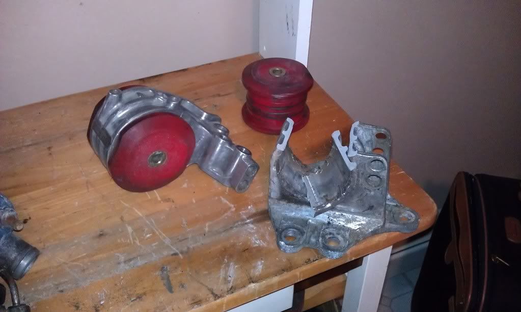 IMAG0214.jpg