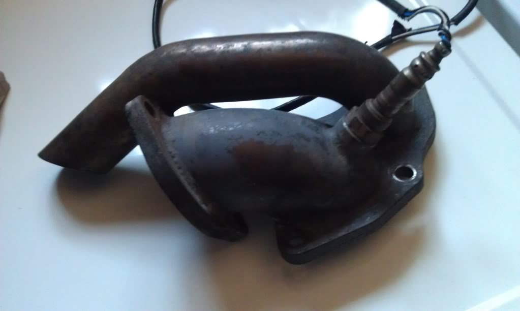 IMAG0251.jpg