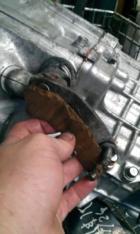 IMAG0273.jpg