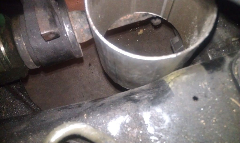 IMAG0447.jpg