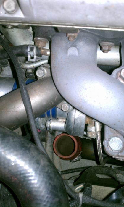 IMAG0463.jpg