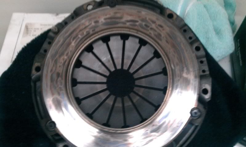 IMAG0491.jpg