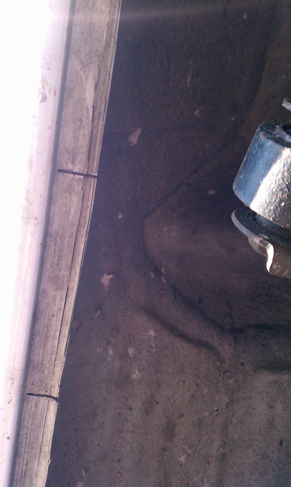 IMAG0504.jpg