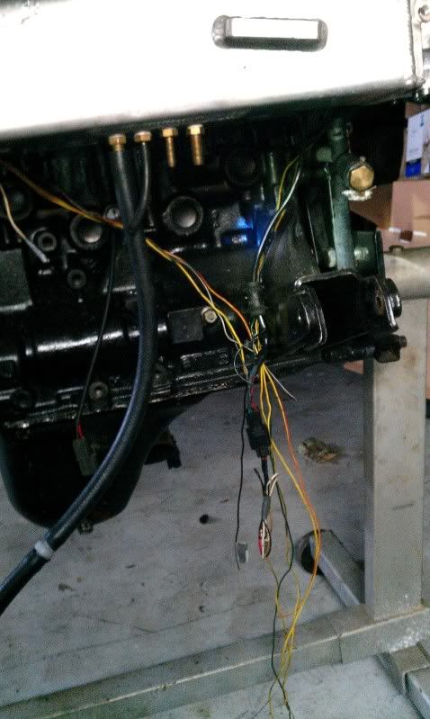 IMAG0515.jpg