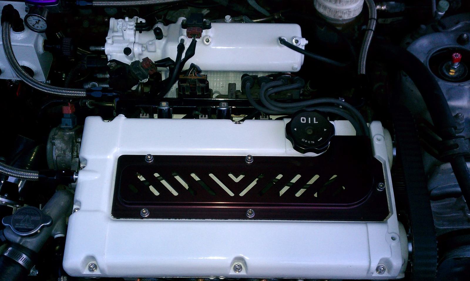 IMAG0529.jpg
