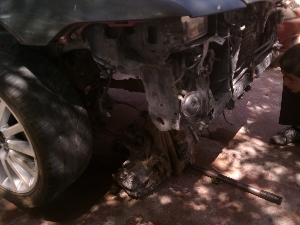 IMAG0549.jpg