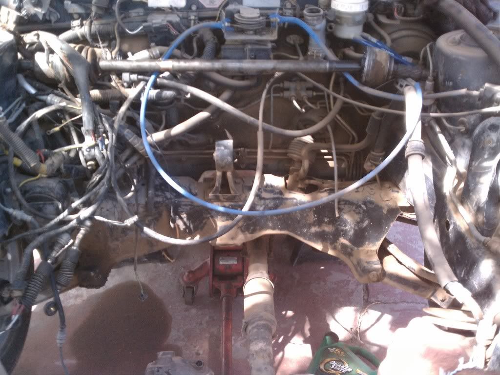 IMAG0551.jpg